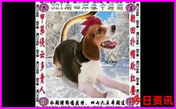北戴河必去景点排名
